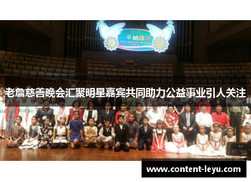 老詹慈善晚会汇聚明星嘉宾共同助力公益事业引人关注