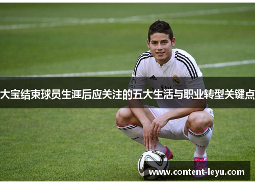 大宝结束球员生涯后应关注的五大生活与职业转型关键点