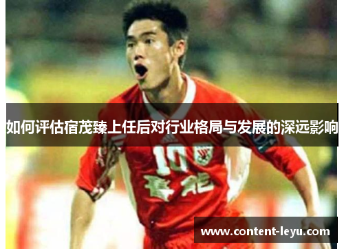 如何评估宿茂臻上任后对行业格局与发展的深远影响