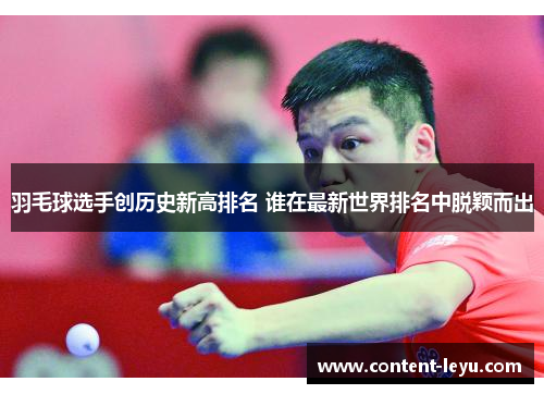 羽毛球选手创历史新高排名 谁在最新世界排名中脱颖而出