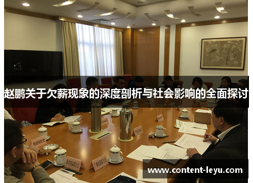 赵鹏关于欠薪现象的深度剖析与社会影响的全面探讨