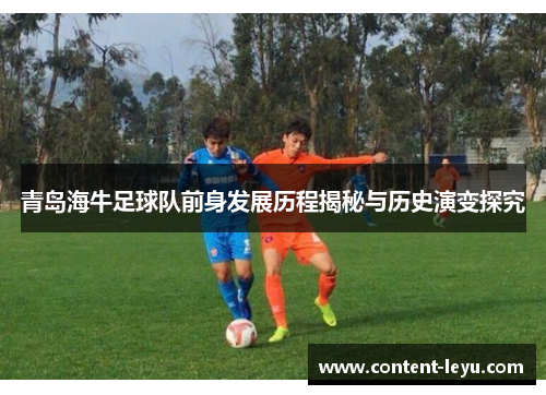 青岛海牛足球队前身发展历程揭秘与历史演变探究