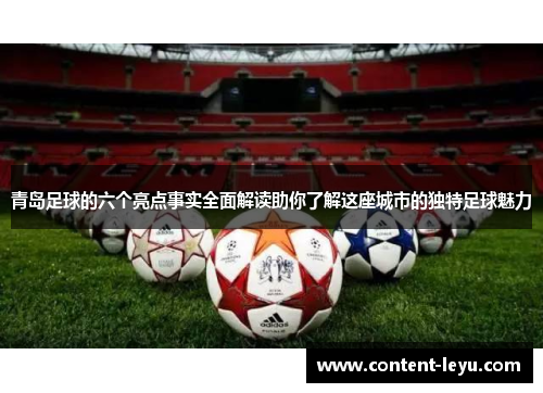 青岛足球的六个亮点事实全面解读助你了解这座城市的独特足球魅力